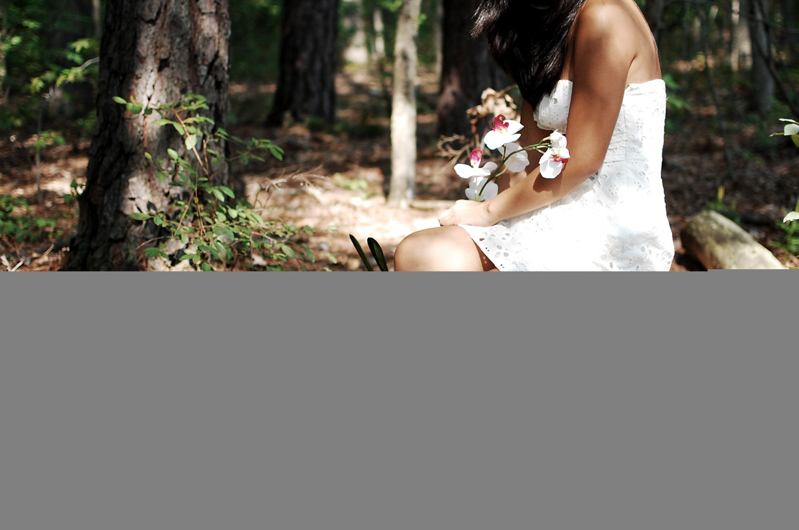 ต้นไม้, ป่า, ดอกไม้, การถ่ายภาพ, แต่งตัว, ฟุต, เข้าสู่ระบบ, ดอกไม้, เจ้าสาว, ป่า, รูปถ่าย