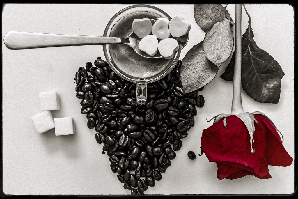 černobílý, milovat, makro, káva, kuchyně, růže, okvětní lístek, Černý a bílý, monochromatické fotografování, stálý život, zátiší fotografování, 7dwf
