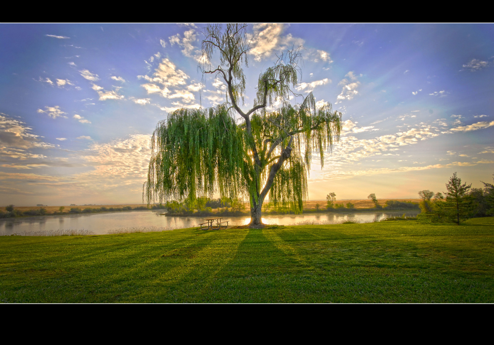 Příroda, nebe, strom, ráno, tráva, lučina, pole, odraz, slunečnímu záření, atmosféra, jev, během dne, voda, krajina, louka, mrak, svítání, počítač tapeta, večer, tráva rodina, prostý, horizont, banka, pastvina, arecales, palma, prérie
