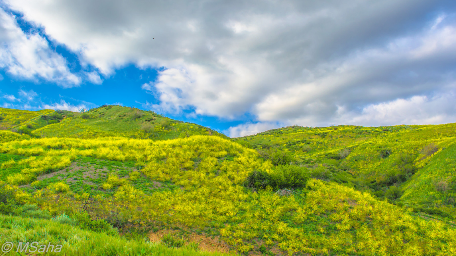 žlutý, zelená, koberec, Jeskyně, stezka, Granada, kopce, Nikon, d52000, dSLR, na panoramatický, vysoký, široký, Příroda, krajina, manuál, Země, horní, jasný, ztlumit, stín, světlo, kolem, Pohled, dívej se, cestovat, šťastný, život, živý, dobrodružství, zeměkoule, svět, osamělý, mír, klidný, uklidnit, Klid, moment, ostrý, Průhledná, měkký, Krásná, zajetí, Červené, modrý, barva, barvy, živý, vibrující, legenda, den, slunce, Slunný, nebe, mrak, mraky, kopec, hora, skalnatý, Skála, strom, listy, větve, rostliny, květ, Vykořenit, tráva, seno