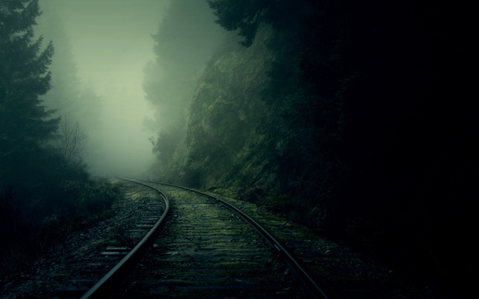 sollys, skog, natt, tog, grønn, morgen, tåke, atmosfære, rail verftet, tunnel, transportere, lett, tåke, vær, mørke, spor, atmosfærisk fenomen