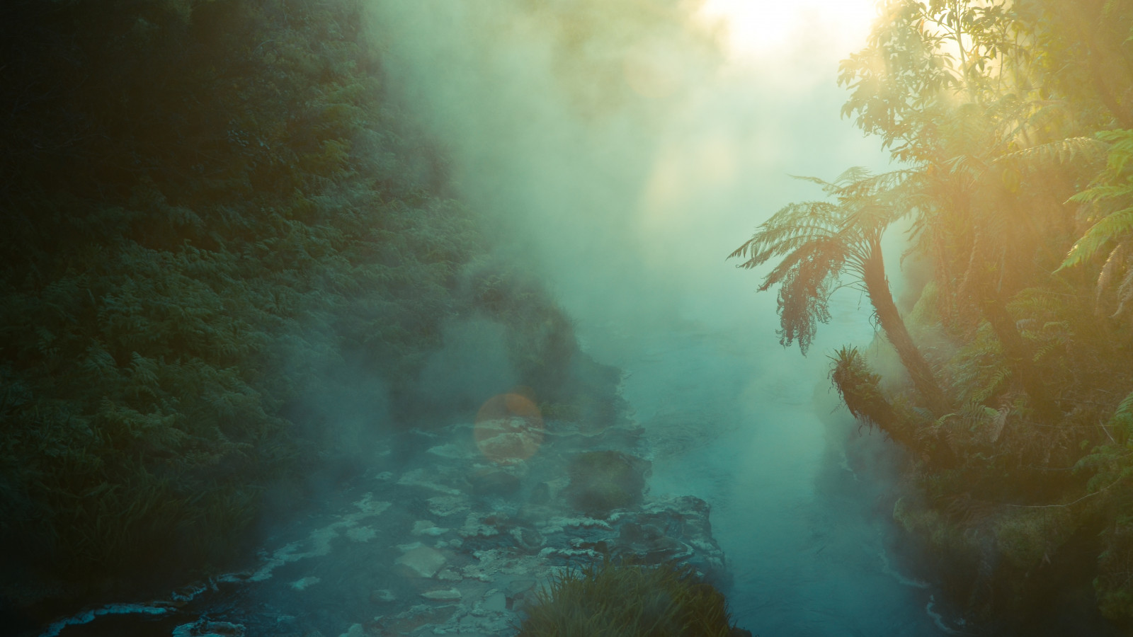 Wallpaper new, hot, river, evening, spring, natural, steam, zealand