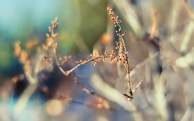 sunlight, nature, photography, water, grass, winter sunlight, nature, photography, water, grass, winter