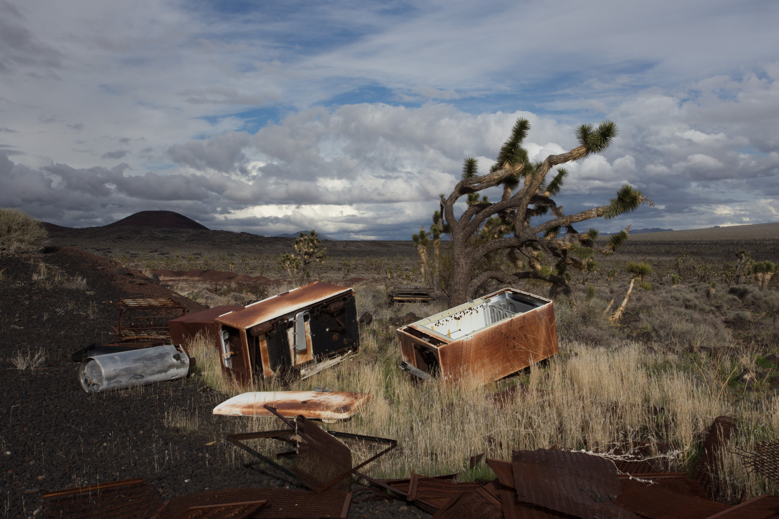 แนวนอน, เนินเขา, ถูกทอดทิ้ง, ท้องฟ้า, เมฆ, บ้าน, หมู่บ้าน, Canon, ฉัน, กระท่อม, โมฮาวี, เมฆ, ต้นไม้, ชาติ, ภูเขา, ปลูก, Cima, รักษา, 6d, ทิ้ง, เขตชนบท, ปรากฏการณ์ทางอุตุนิยมวิทยา, Shrubland, รูเรกซ์, อีโครีเจียน, ขี้เถ้า, โยชูวา, ef1740f4l, mnp, mojavepreserve, plant community