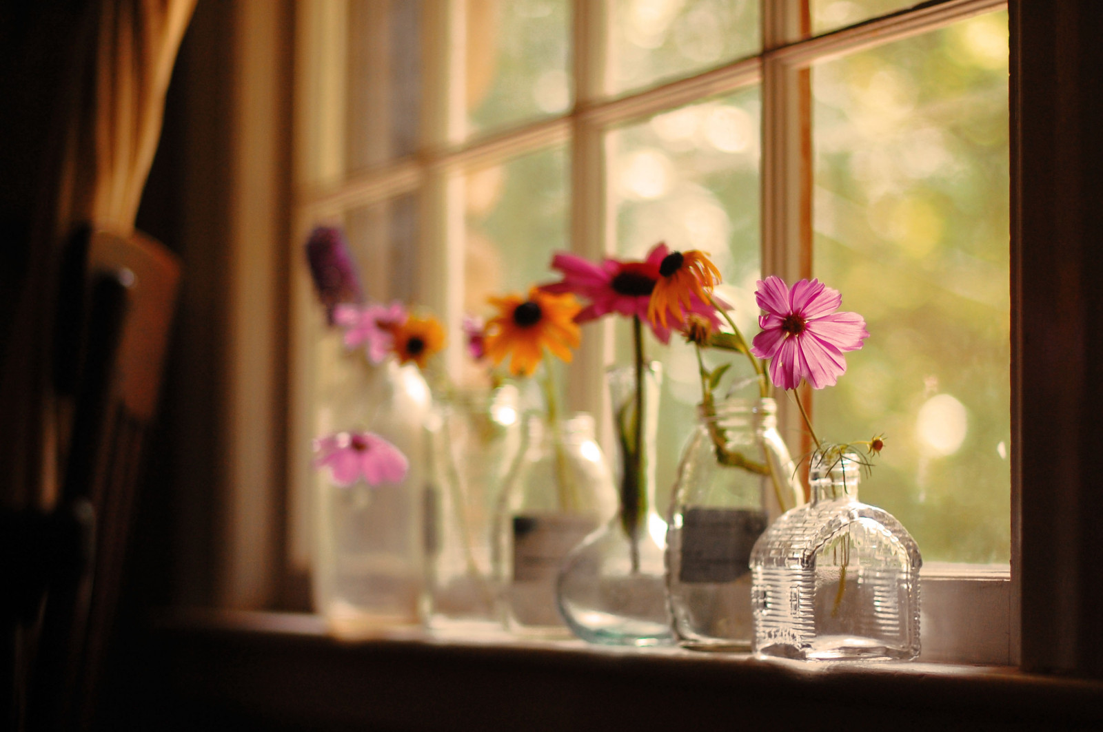 blomst, glas, blomster, vindue, Indretning, omdrejningspunktet, stilk og fod, stilleben, stadig liv fotografering, plante, tabel, kronblad, blomsterbinding, vinglas, forår, blomstret design, drinkware