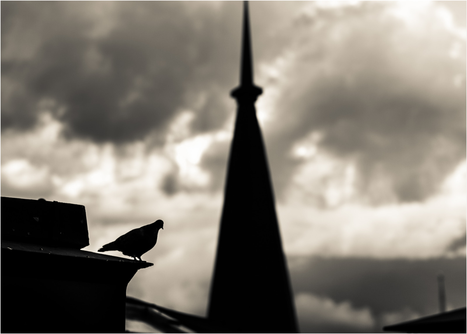 sollys, monokrom, by, himmel, fotografering, skyer, vind, atmosfære, Stockholm, due, Spir, Sky, tagene, mørke, dagtimerne, energi, atmosfære af jord, sort og hvid, monokrom fotografering, meteorologisk fænomen, stor by, s dermalm, stock photography