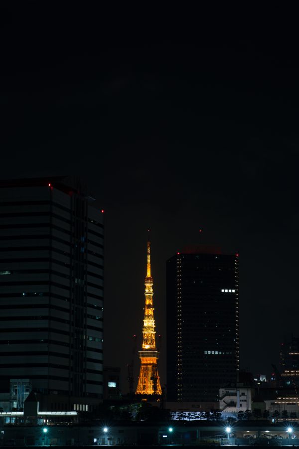 Japan,city,cityscape,night,architecture,reflection