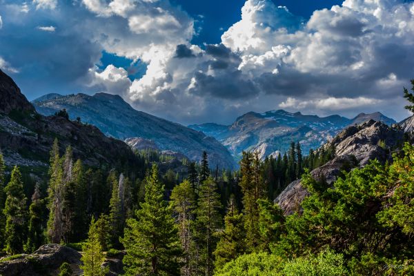cloud,sky,mountain,ecoregion,plant,tree