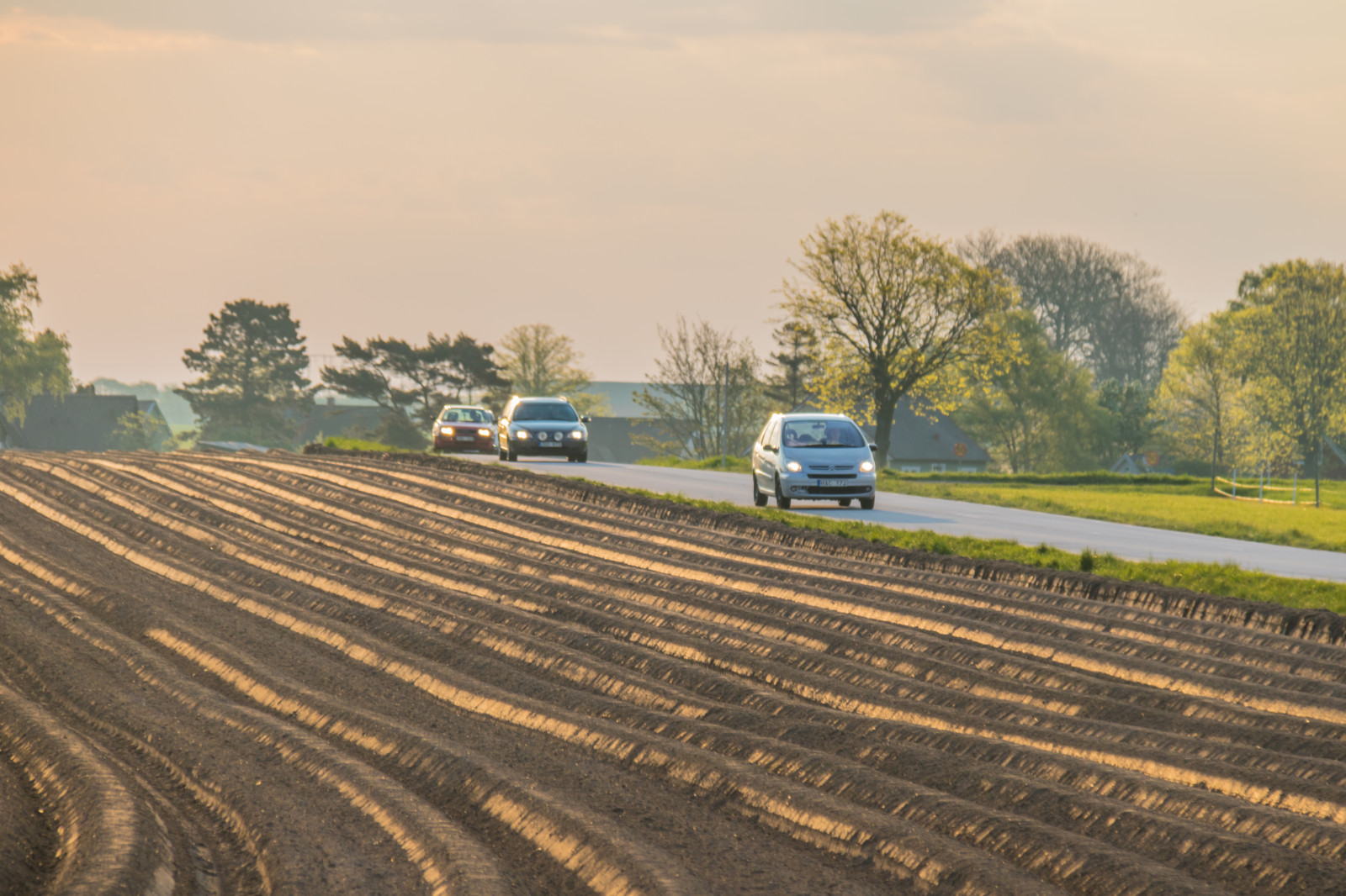 Landschaft, Hügel, Gras, Himmel, Feld, Straße, Morgen, Bauernhof, Autobahn, Transport, Fahren, Infrastruktur, Wolke, Landschaft, Landschaftlich, V g, S dersl tt, Landkap, Morgon, Gisl v, Spur, Landwirtschaft, Ebene, Boden, ländliches Gebiet, Atmosphärisches Phänomen, Rennstrecke, Ausflug