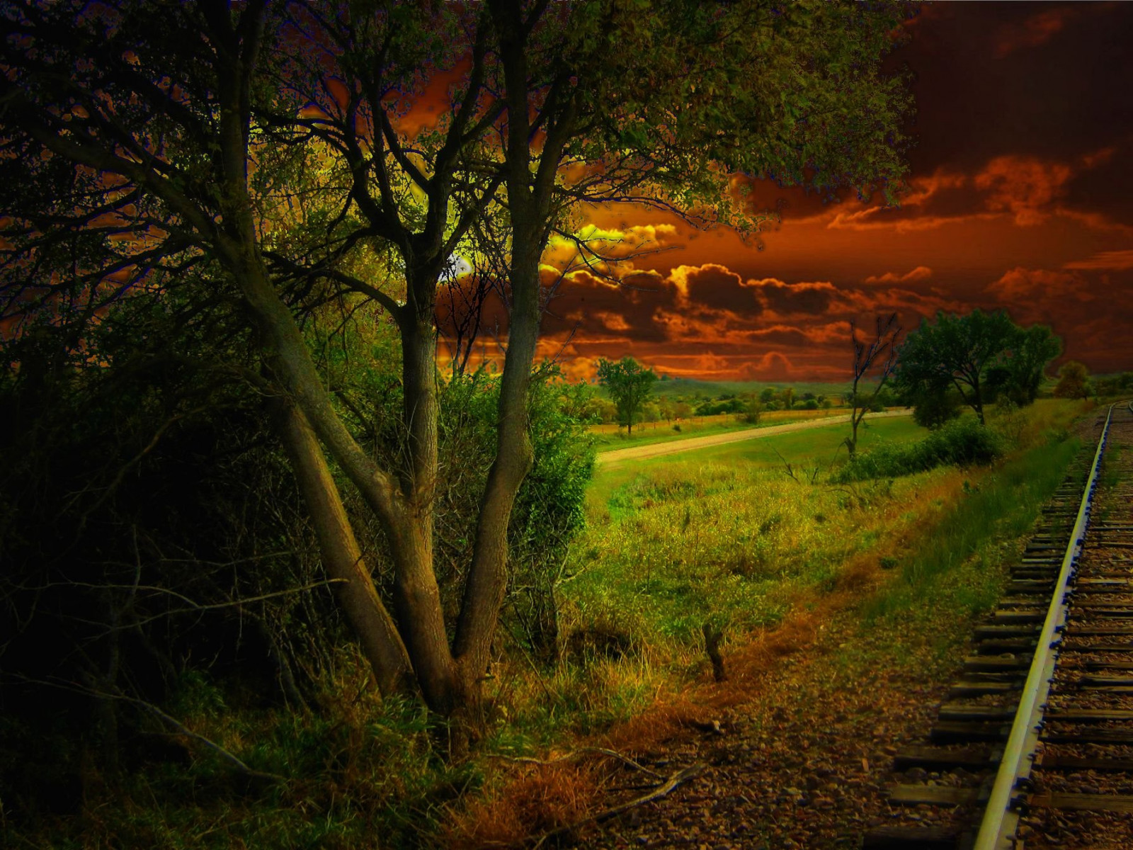 slunečnímu záření, stromy, krajina, les, temný, západ slunce, kopec, Příroda, tráva, nebe, zelená, večer, ráno, stopy, džungle, strom, železnice, podzim, list, květ, rostlina, sezóna, zálesí, creativemindsphotography, venkov, místo výskytu, přírodní prostředí, atmosférický jev, dřevina