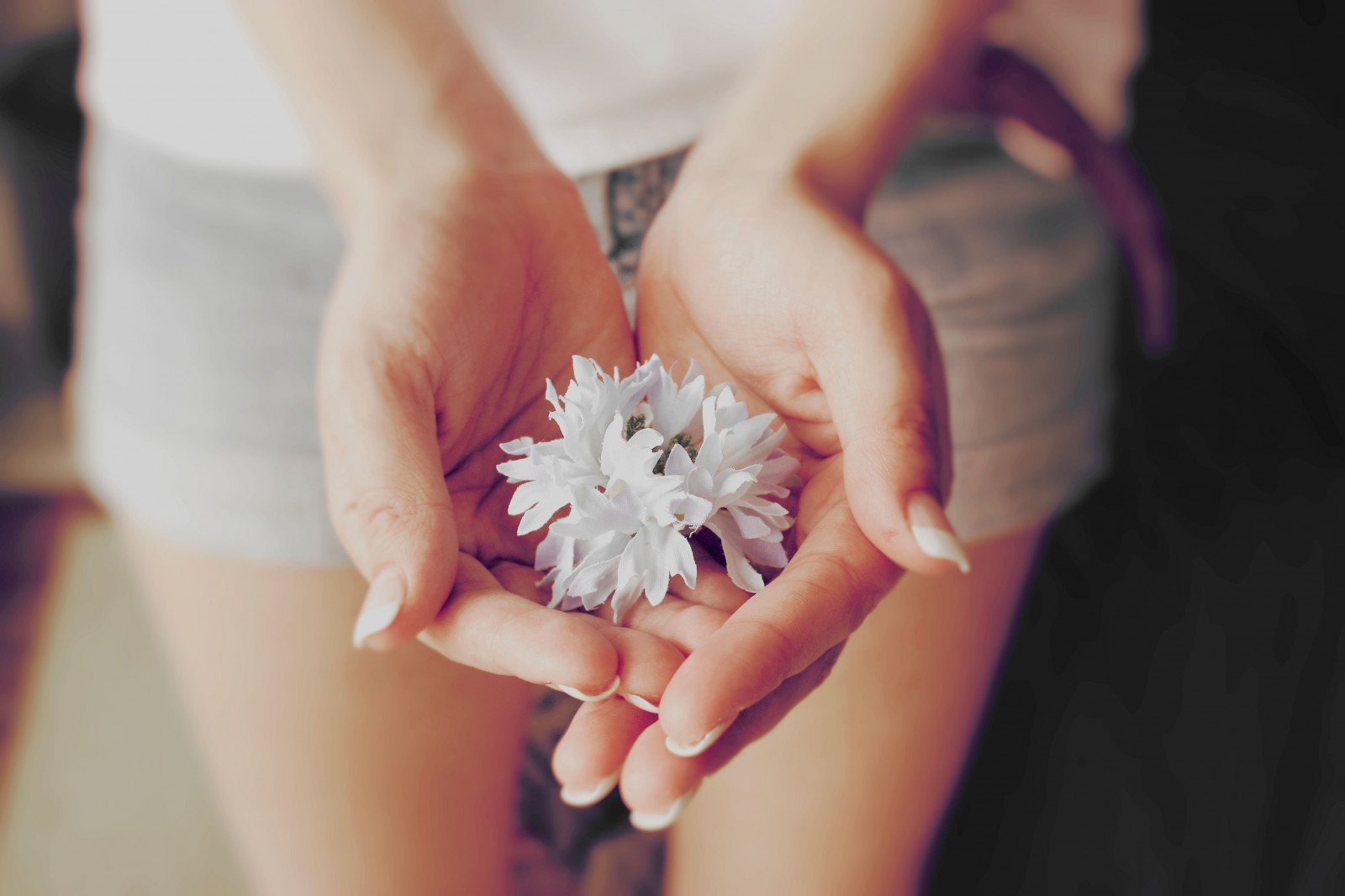 fiori, fotografia, vestito, rosa, pelle, fiore, bellezza, donna, mano, giovane, nozze, sposa, fotografia, petalo, interessante, cerimonia, girlphotographer, canonrebelxsi, teenagephotographer, chantelbaggley, camicia bianca, jeanshorts, pettels, cooltones, unghie lunghe, chantel, Baggley, nella tua mano, frenchtip, whatshereiswhatllstay