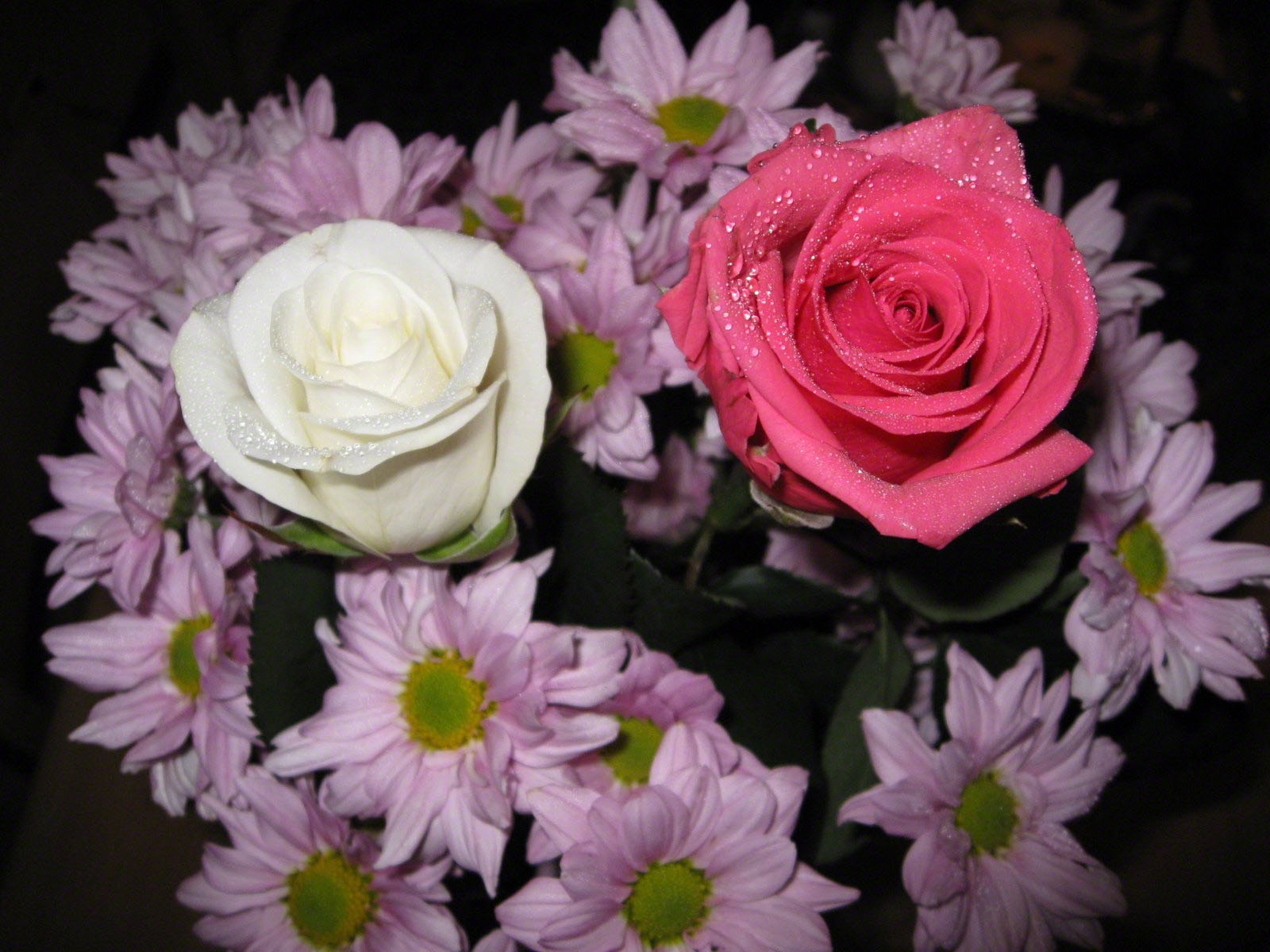 květiny, růžový, chryzantémy, květ, rostlina, pokles, flóra, růže, kytice, okvětní lístek, svěžest, suchozemská rostlina, kvetoucí rostlina, floristika, zahradní růže, kytice, aranžování květin, květinový vzor, řezané květiny