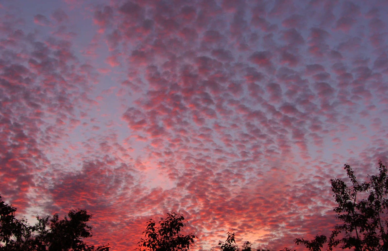 Tomsk, nebe, večer, mraky, západ slunce, Klid, klid, růžový, venkovní, amatér, Samsung, Samsungprop815, Pro815, Soumrak, soumrak, 1000v40f, 500v20f, Významný