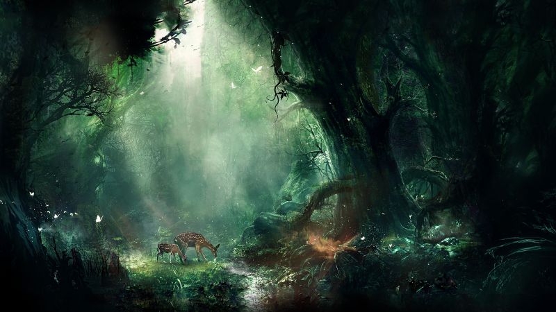 slunečnímu záření, les, zvěř, fantasy umění, Příroda, mlhovina slunečnímu záření, les, zvěř, fantasy umění, Příroda, mlhovina