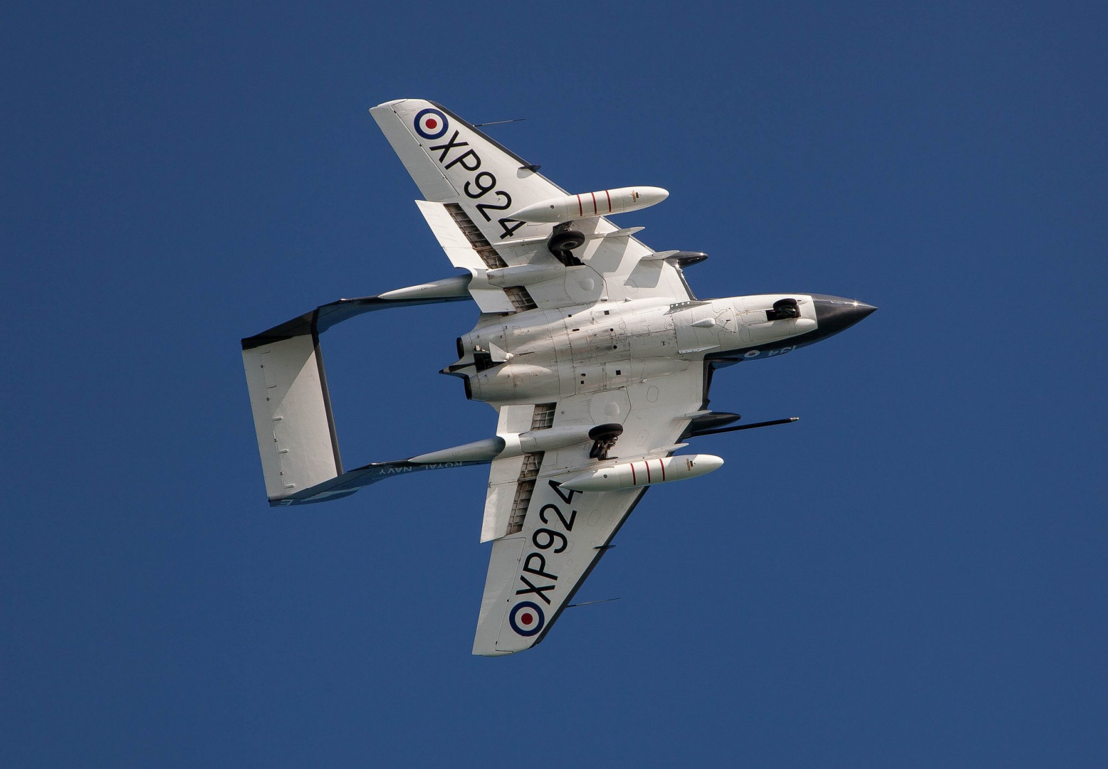 1959, 2048x1423 px, velivoli, de, Inghilterra, combattente, Havilland, Jet, marino, Marina Militare, reale, mare, volpe femmina