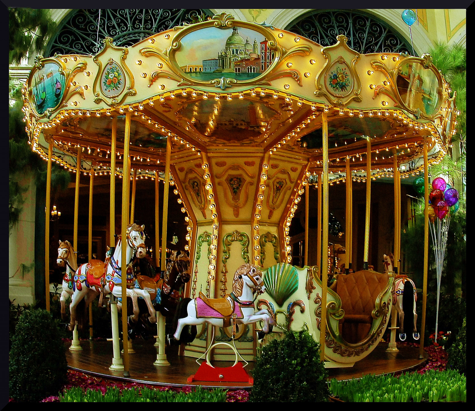 barvitý, květiny, zahrada, město, milovat, park, lavice, Nikon, zlato, n, GIMP, kolotoč, Nevada, dovolená, Bellagio, barva, majestátní, zlatý, barvy, květ, Amerika, divoký, zábava, fotografie, vegas, pás, lasvegas, balóny, geo, Jiskra, rekreace, D2X, zvláštní, fotocompetition, fotocompetitionbronze, 702, zábavní park, zábavní jízda